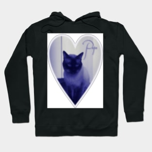 My lovely sentimental vintage Siamese Cat Hoodie